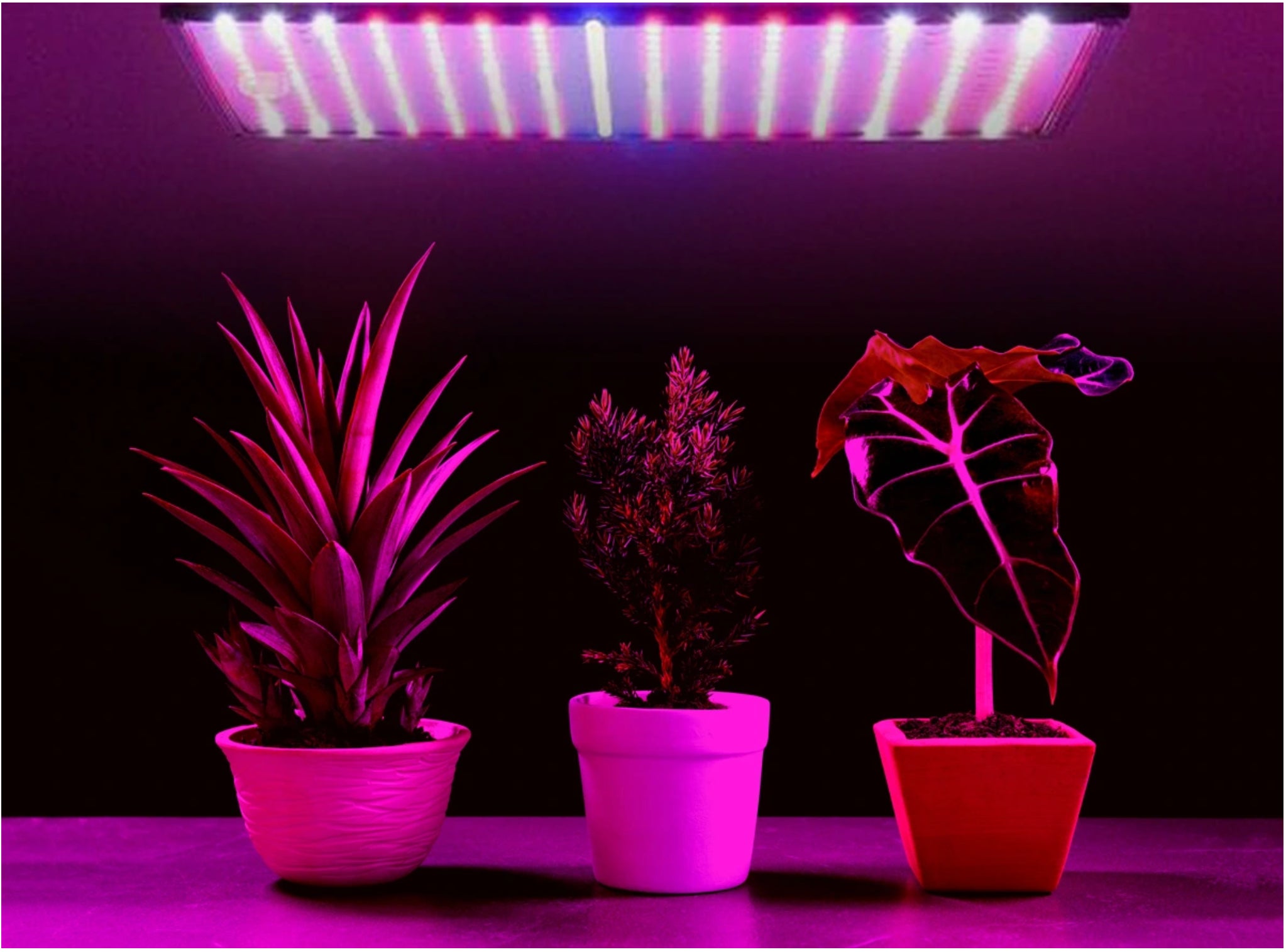 Lampes de culture à DEL pour plantes d'intérieur,Lampe à plantes